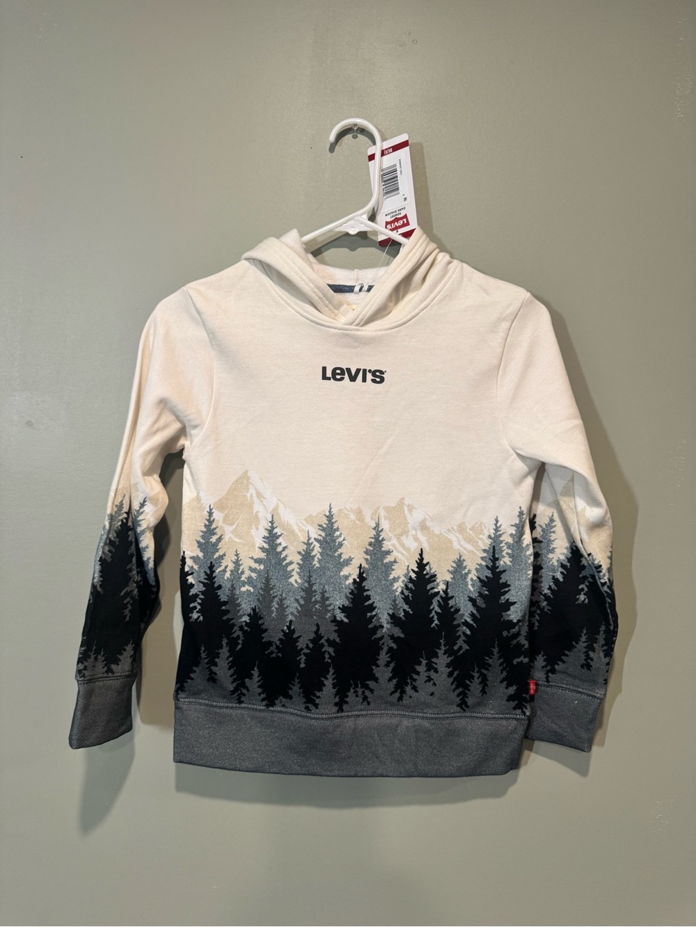 Levi's kids hoddie